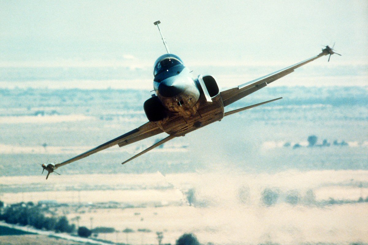 虎鲨悲剧,极富悲剧色彩的虎鲸