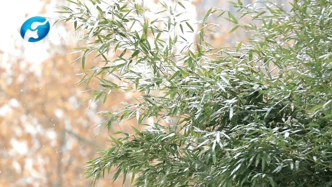 郑大一附院刘冰熔,郑大一附院刘冰熔坐诊时间