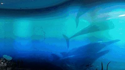 深圳暑假推荐地方,深圳适合高中生参观的地方