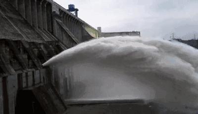 泳池里有“小蝌蚪”，女生游泳会怀孕吗？