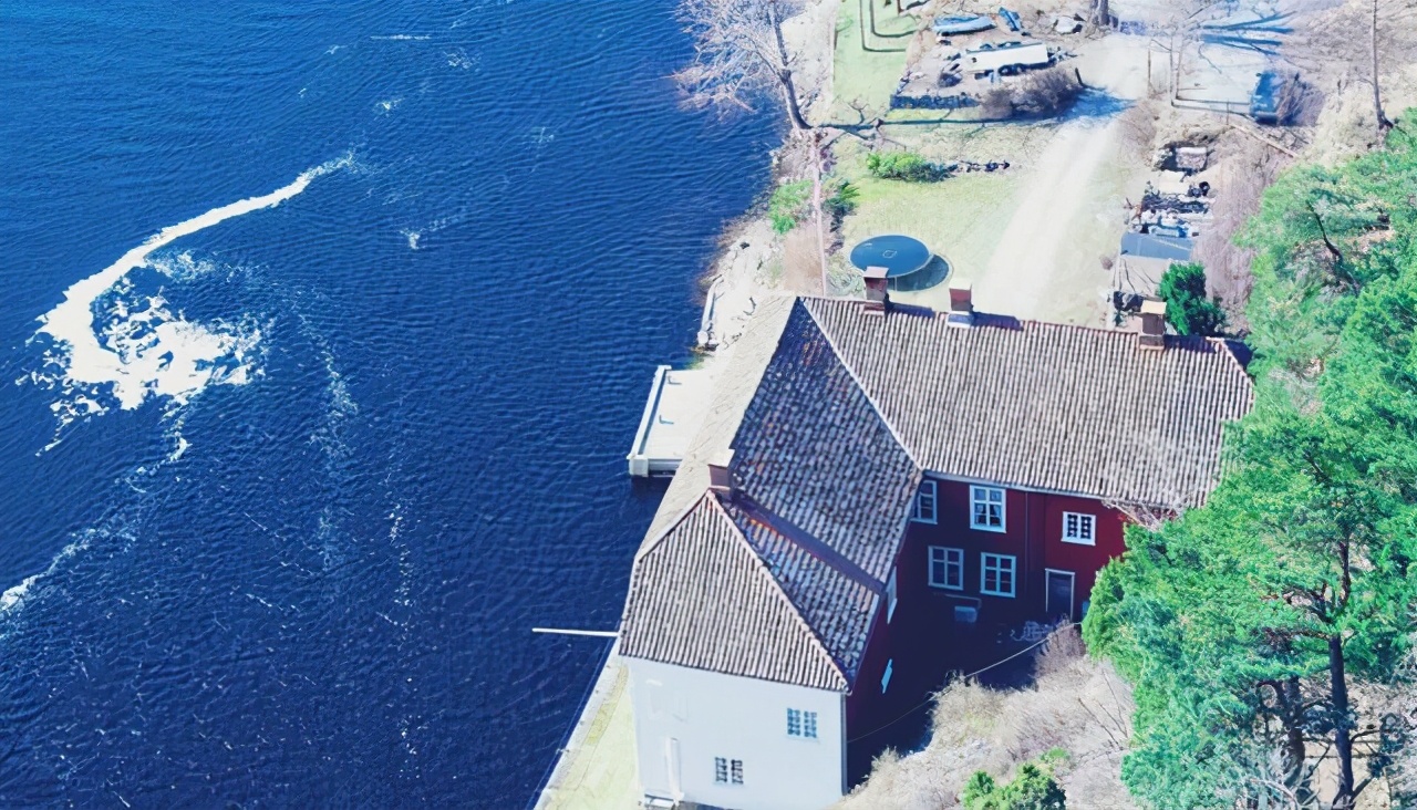 外愚内智星座,十分精明堪比人精的星座