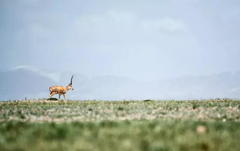高效摄影,摄影慢动作