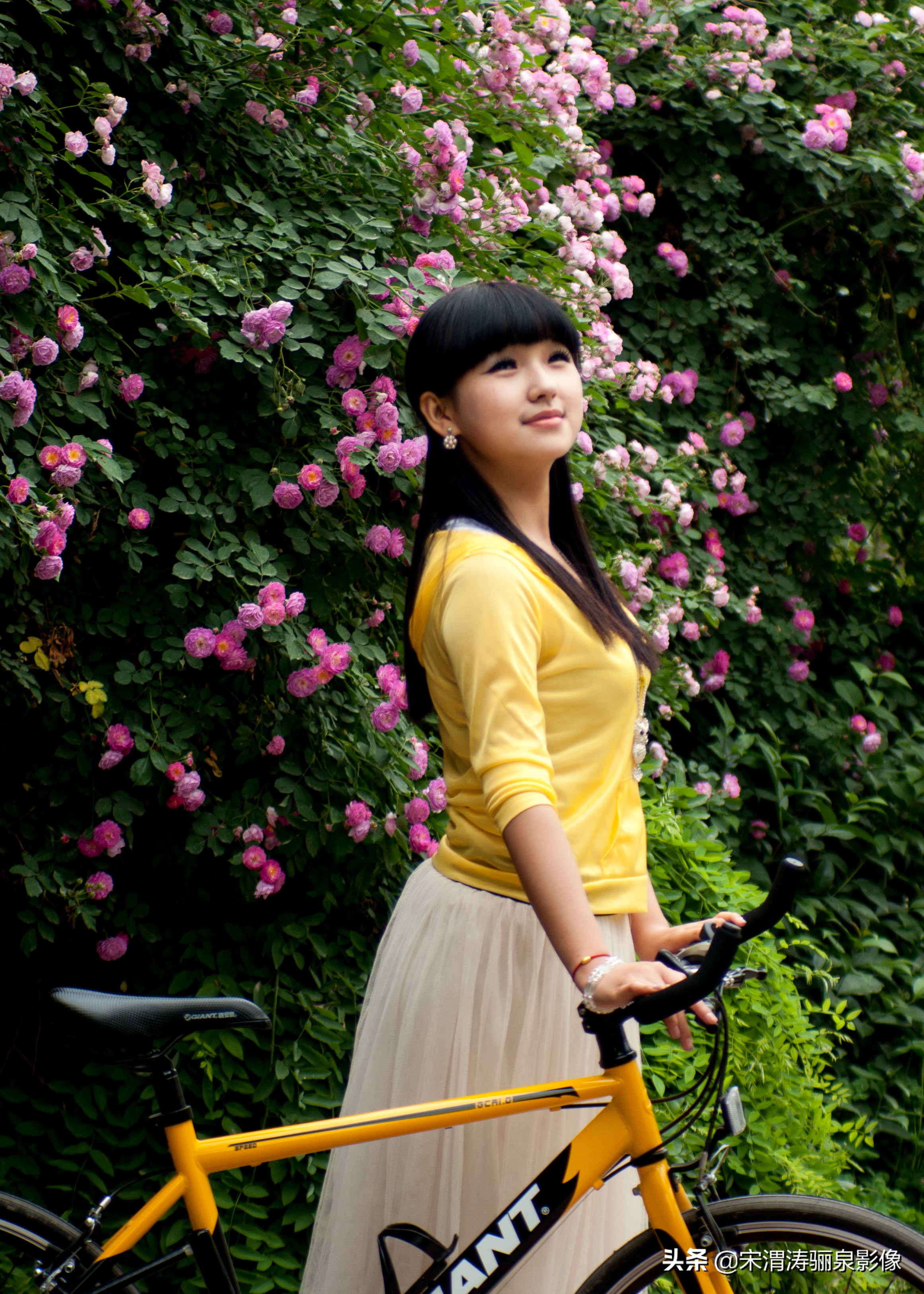 宾得相机发展,数码相机的寒冬