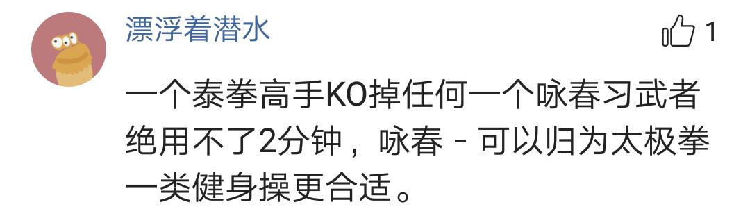 武术大师评价叶问,叶问咏春拳真实实力