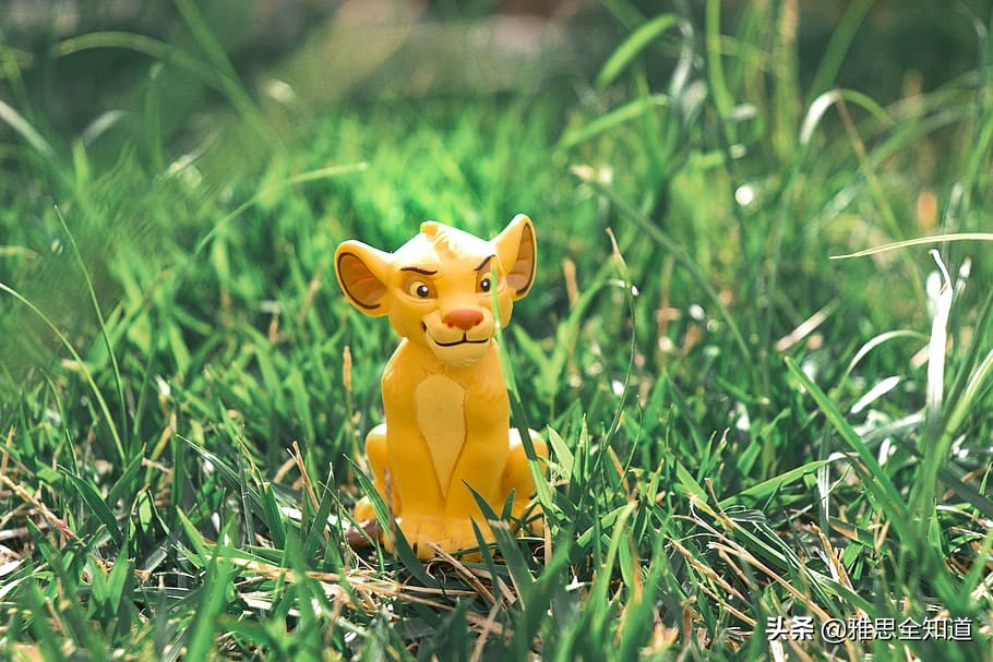 狮子王双语在线观看,狮子王双语阅读