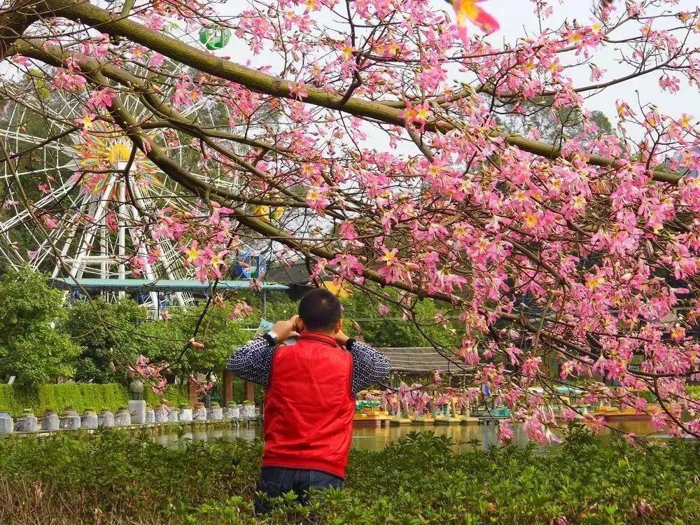 清远森波拉温泉晚餐,清远森波拉温泉度假村酒店报价