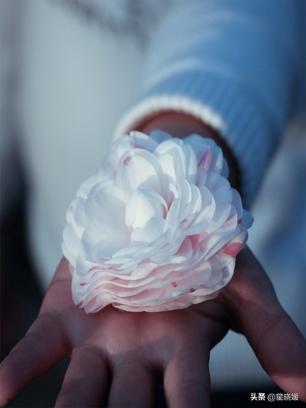 火逆狮子座,白羊座狮子座桃花运如何