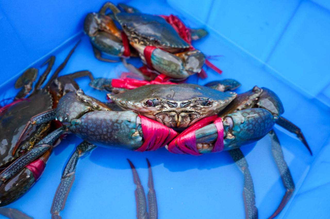 文昌温德姆酒店价格一览表,文昌温德姆至尊豪廷酒店周边游