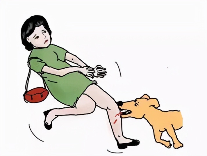 每日小科普小知识,中央电视台狂犬病科普