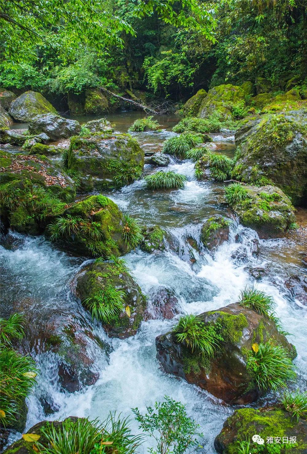来雅安旅游,雅安二郎山休闲特色民宿