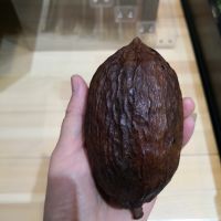 北京西单大悦城美食在几楼,北京西单好吃又实惠的美食推荐店