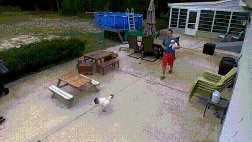 玉米地发现不明液体怎么办,玉米地发现的怪事