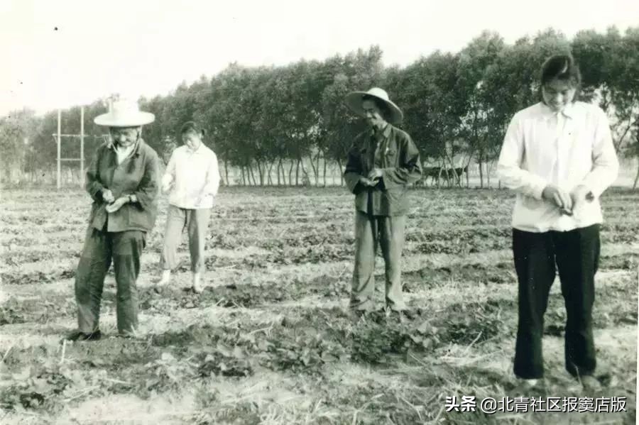 搜一搜就知道了,搜一搜商家会怎么样