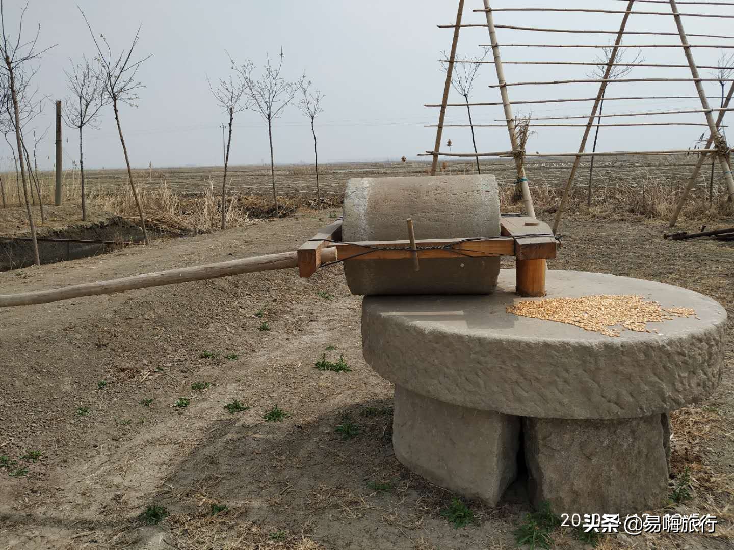 易嗨旅行带您天津宁河-芦台板桥休闲踏春游