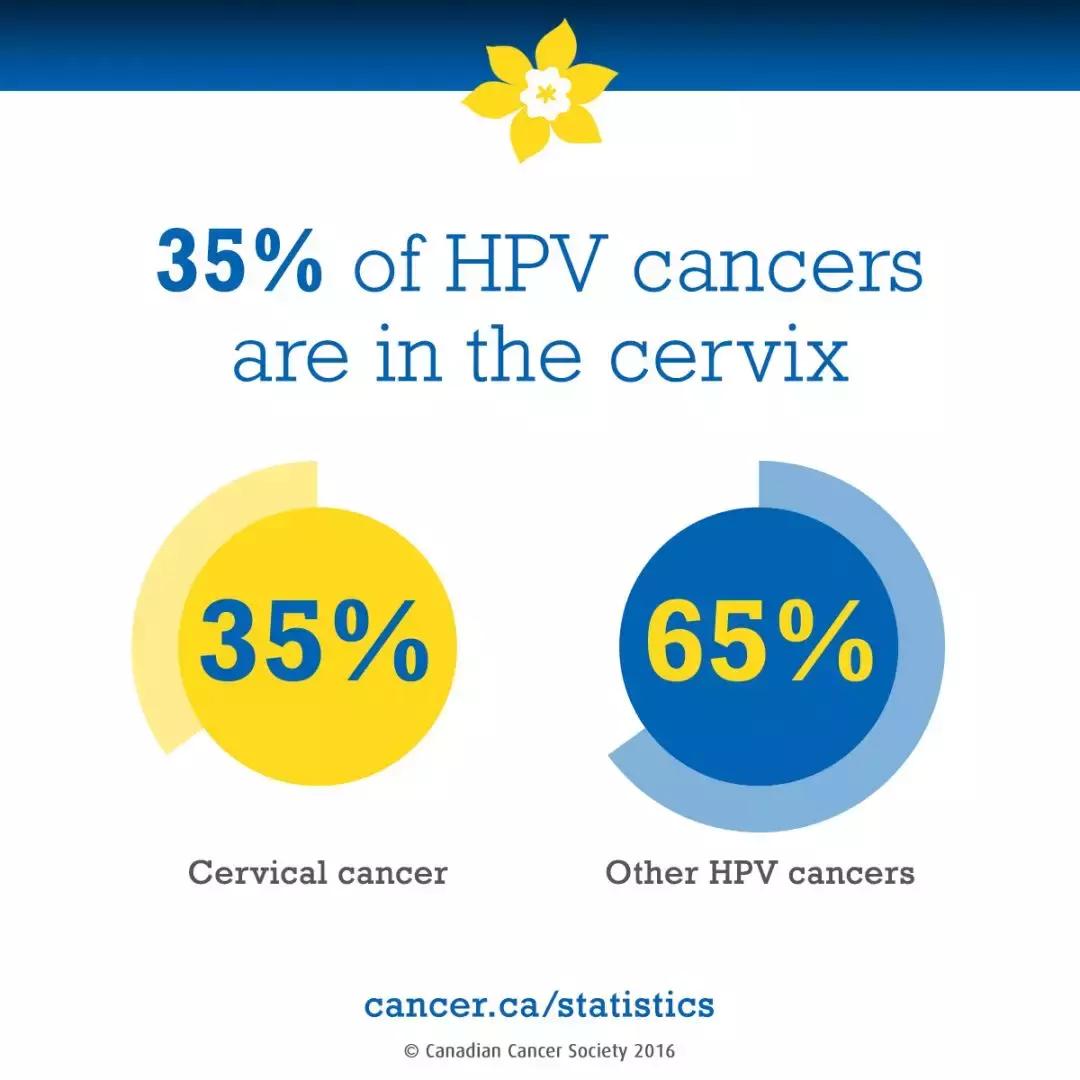 hpv疫苗跟宫颈癌疫苗有区别吗,hpv疫苗和宫颈癌疫苗的区别