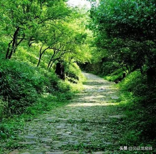 龙泉驿区最新交通消息,龙泉驿交通最新规划