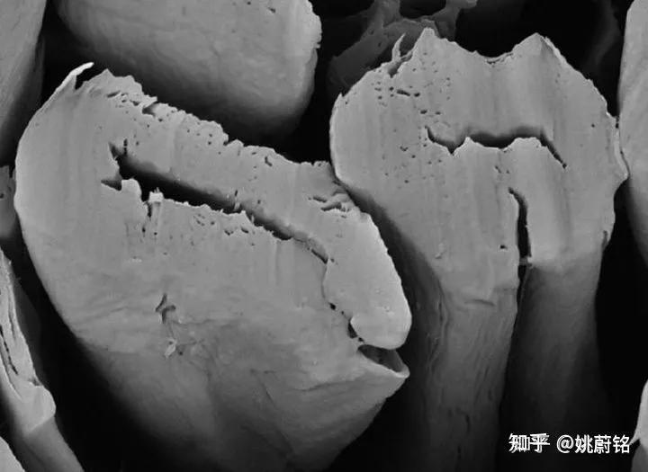 男士裤哪些耐穿,男士休闲裤选修身还是常规