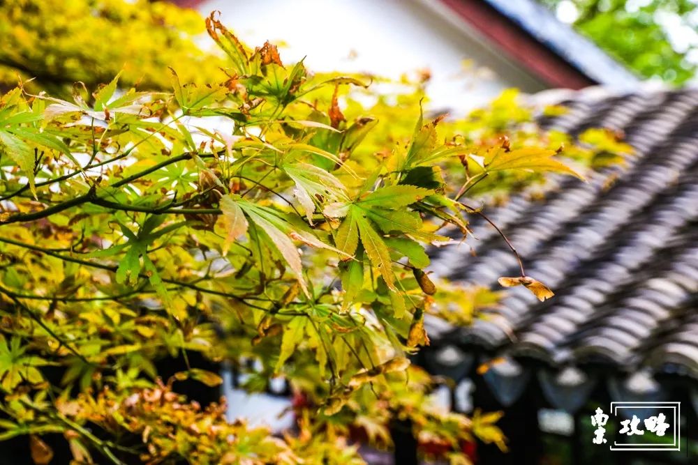 燕子矶公园值得去吗,燕子矶公园的介绍