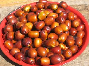 中秋出游带什么食物,中秋3天假期