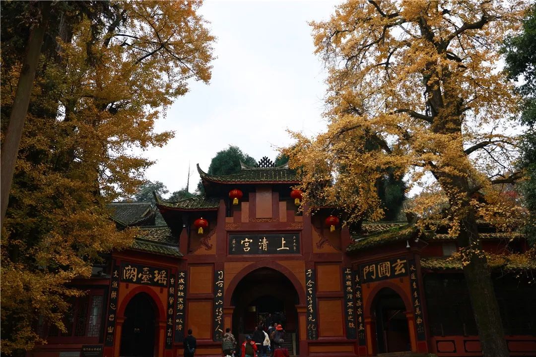 坐上公交去旅行!跟着这条101路线,带你玩遍大半个都江堰~一站一景,吃喝玩乐一网打尽!