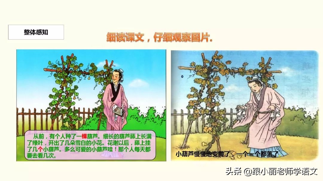 二年级我要的是葫芦的寓意是什么,二年级我要的是葫芦说明什么道理