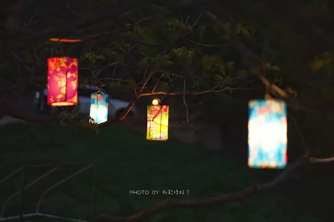 京郊童话树屋,京郊最美童话树屋