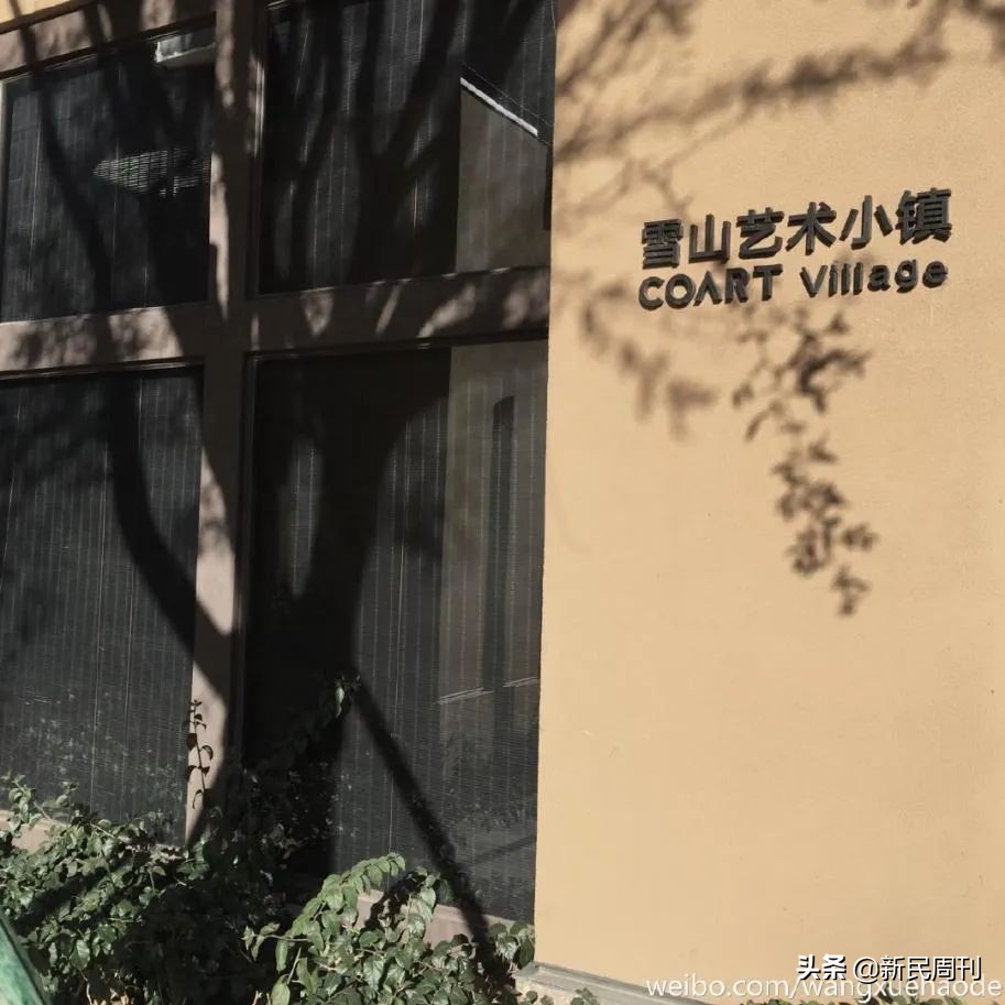 李亚鹏投资房地产欠债4000万,李亚鹏创业心酸史