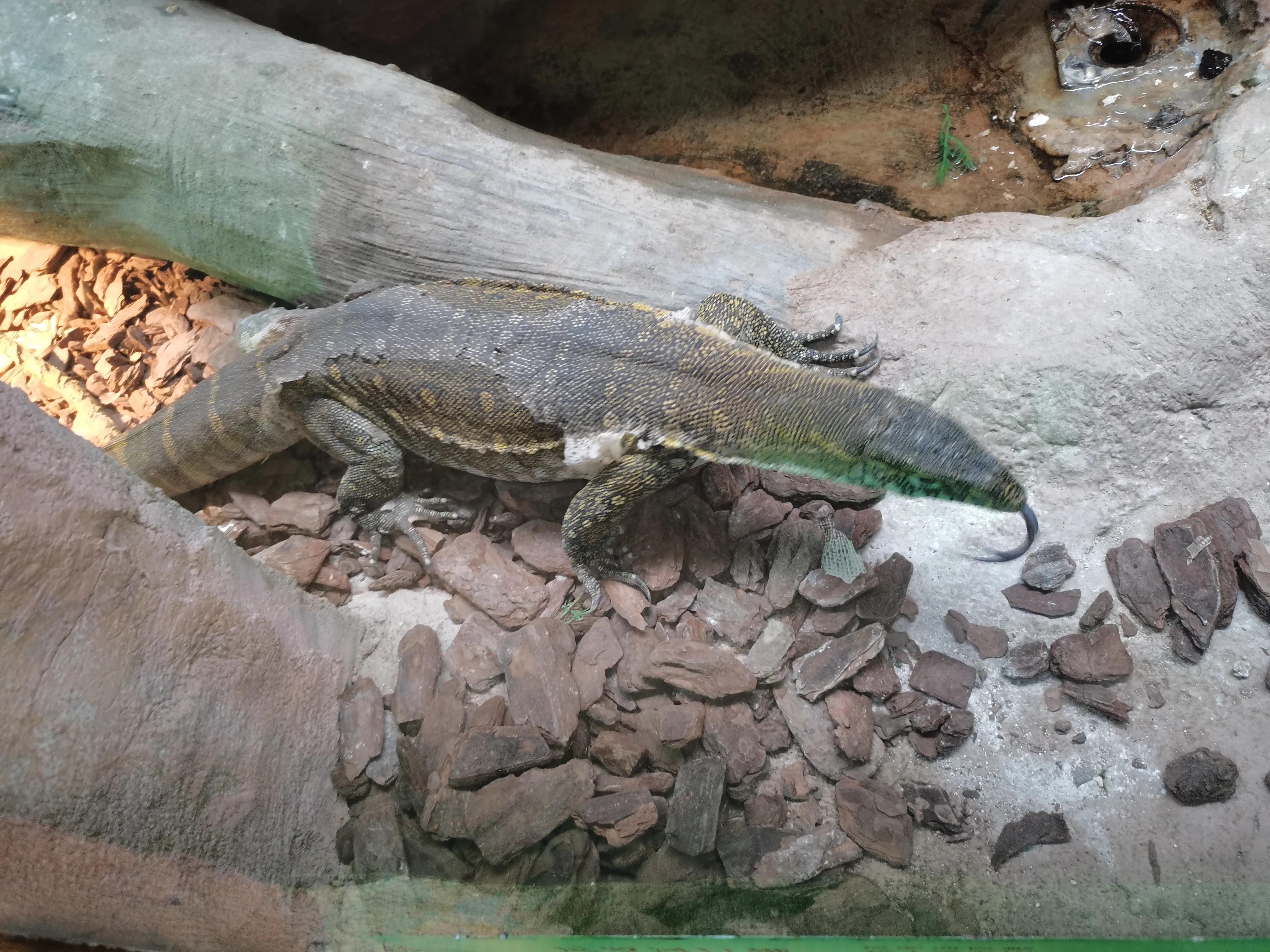 济南野生动物园和宿州野生动物园,宿州野生动物园到宿州皇藏峪