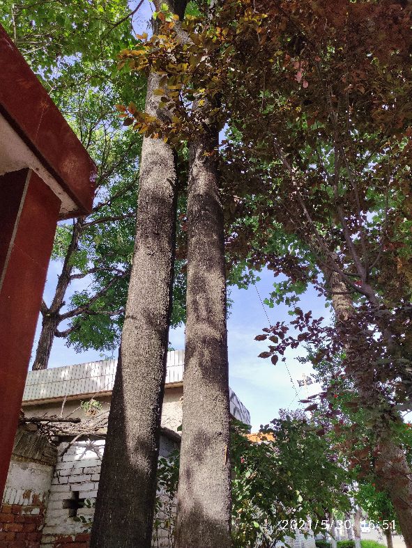 鎵撳崱闀垮畨鍙ゅ煄,鎵撳崱闀垮畨鏁呴噷