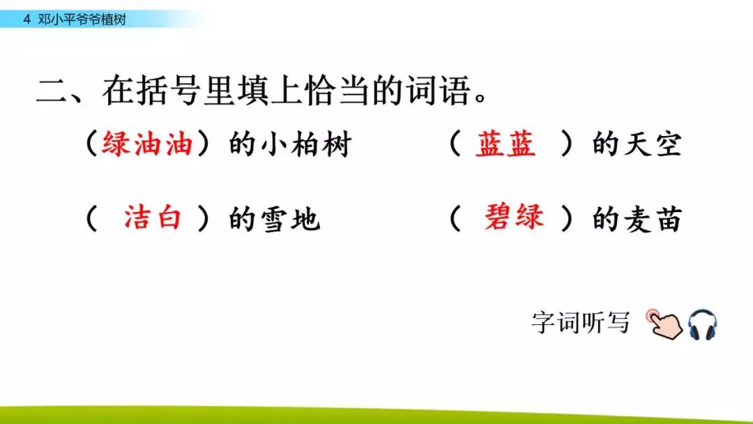 部编版二年级下册语文第4课《*小平邓**爷爷植树》知识点+图文讲解