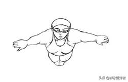 蛙泳比赛技巧,游蛙泳的技巧