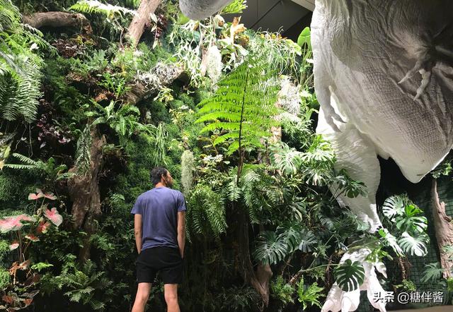 水哥都上过哪一期最强大脑,水哥最强大脑最新的表现