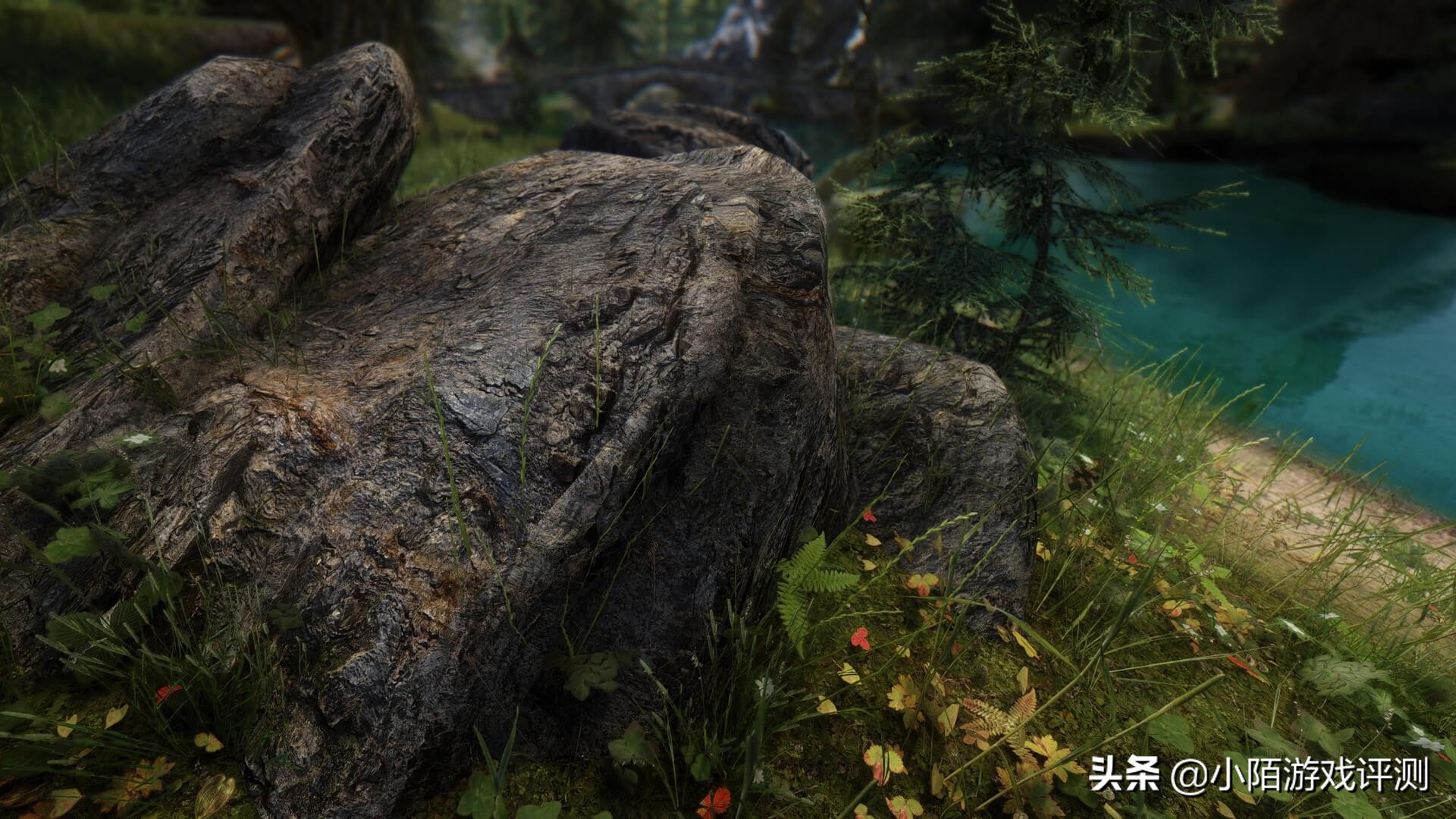 虾米的泪上古卷轴5重制版,上古卷轴5弃誓者叛乱攻略