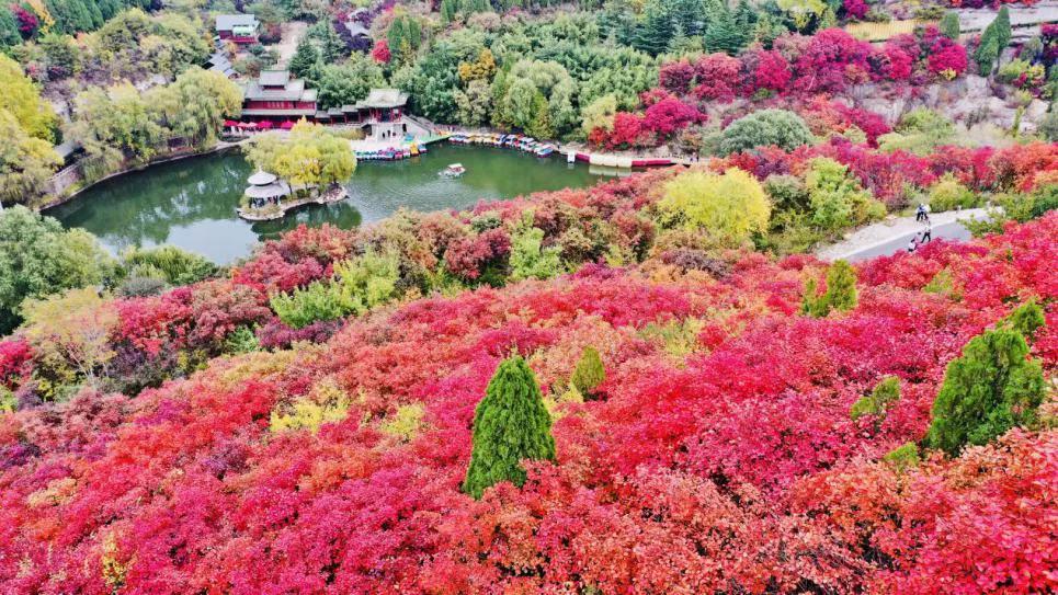聊城亲子游玩玩水地点推荐,聊城冬季亲子游