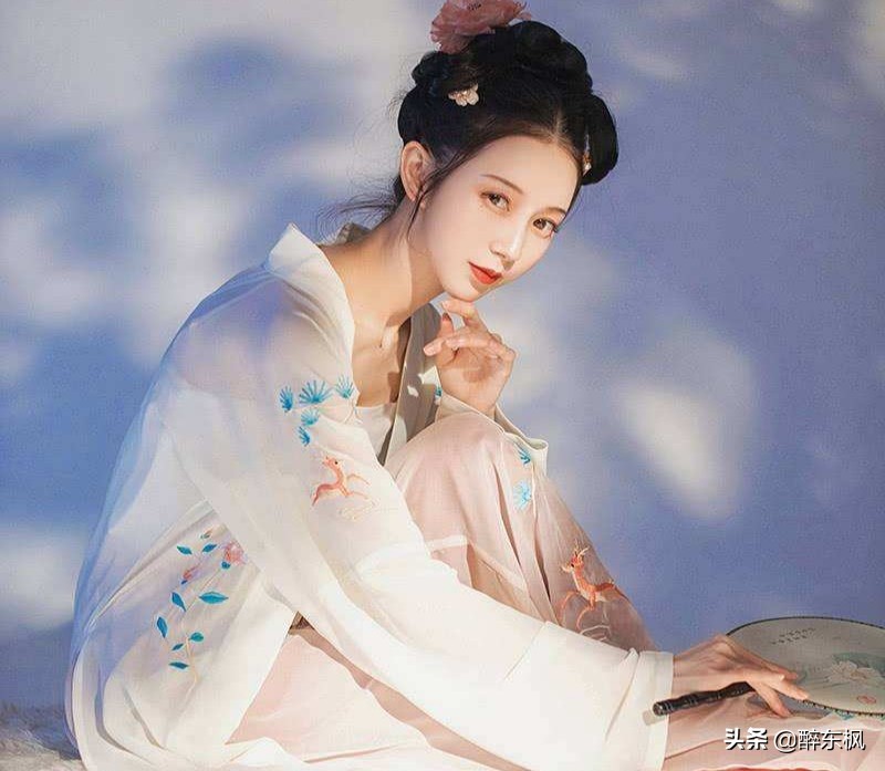 苏轼调侃张先的诗,苏轼最令人叫绝一首诗