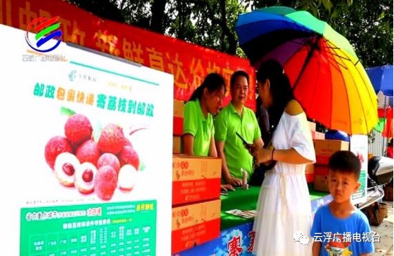 多彩云浮丨美“荔”宝珠，东进融湾