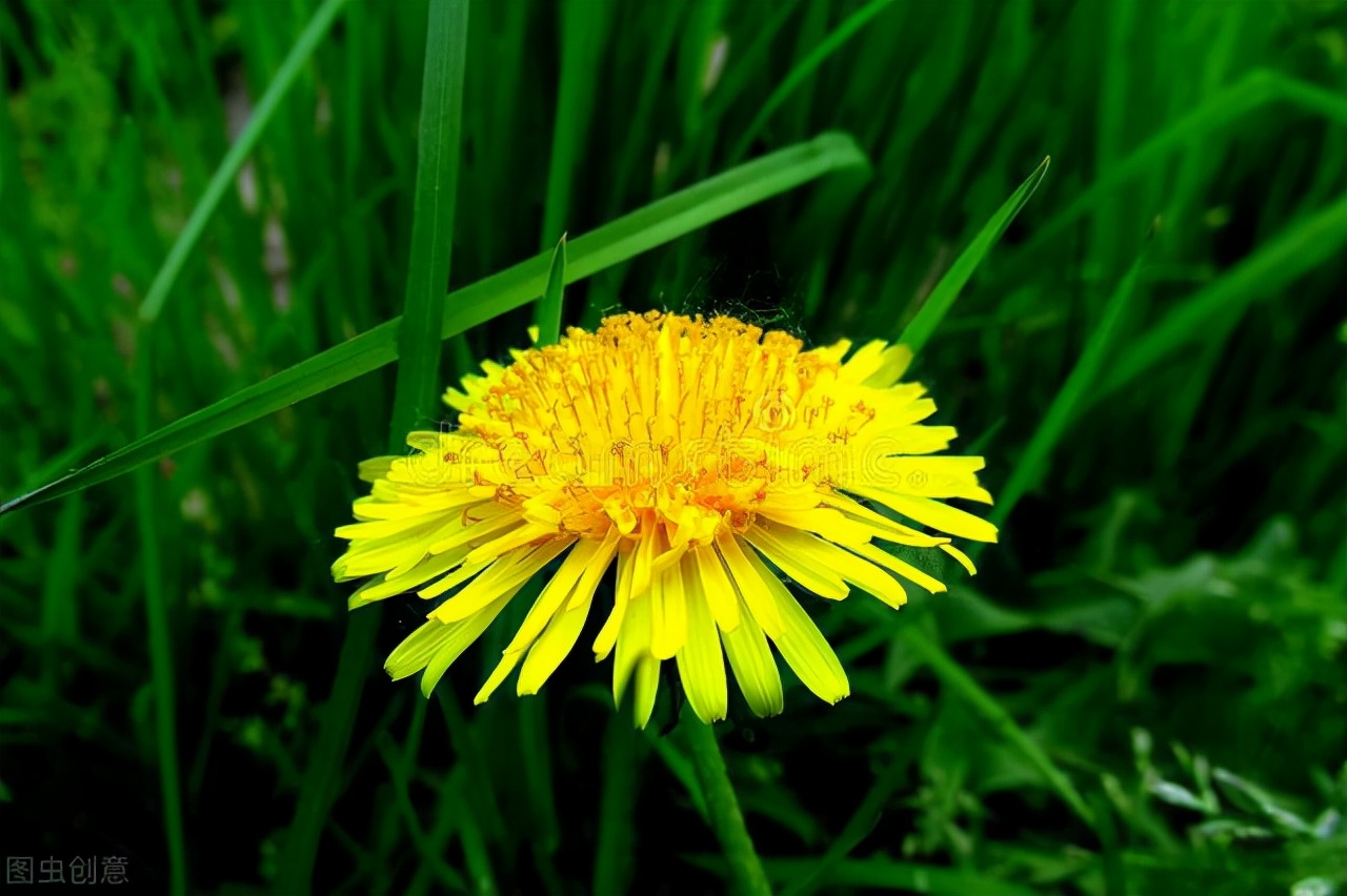 适合发朋友圈的经典文案句子配图,一些适合发朋友圈的简短文案