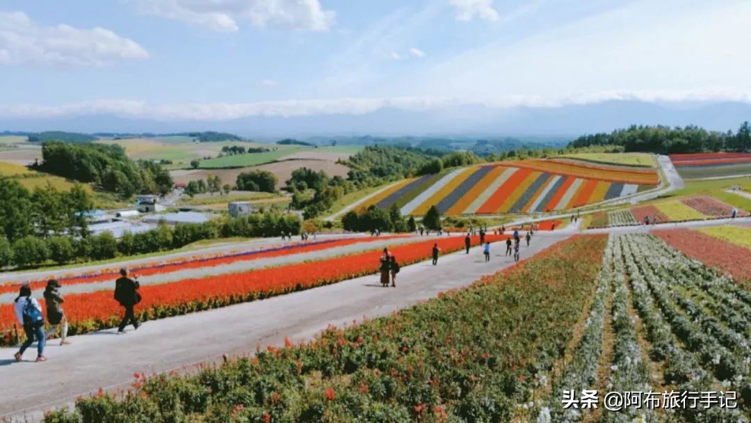 日本花海,日本30个最美花海