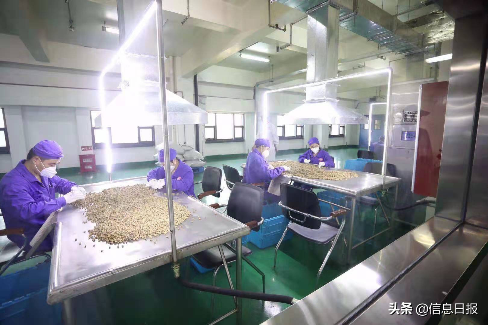 全国记者聚焦武汉,全国媒体聚焦贵阳数博会