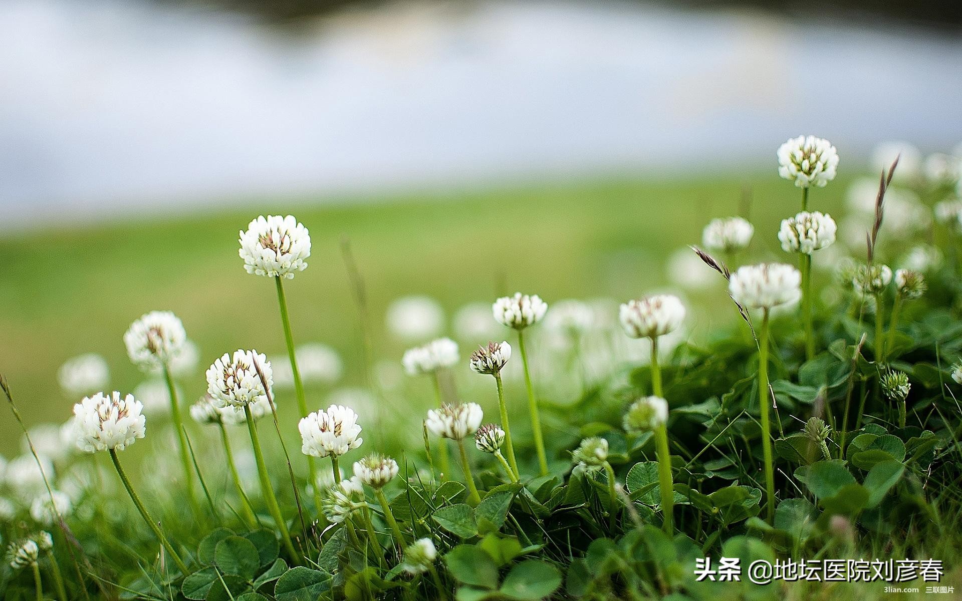 HPV“复发”与宫颈炎症是否有关？医生告诉你真相