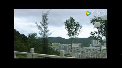 周星驰赵薇光头,赵薇周星驰完整视频