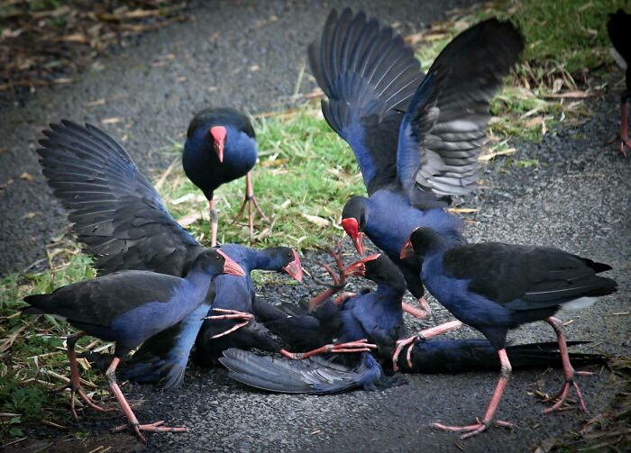 网友随手一拍却很惊艳的图,网友拍摄绝美光影瞬间