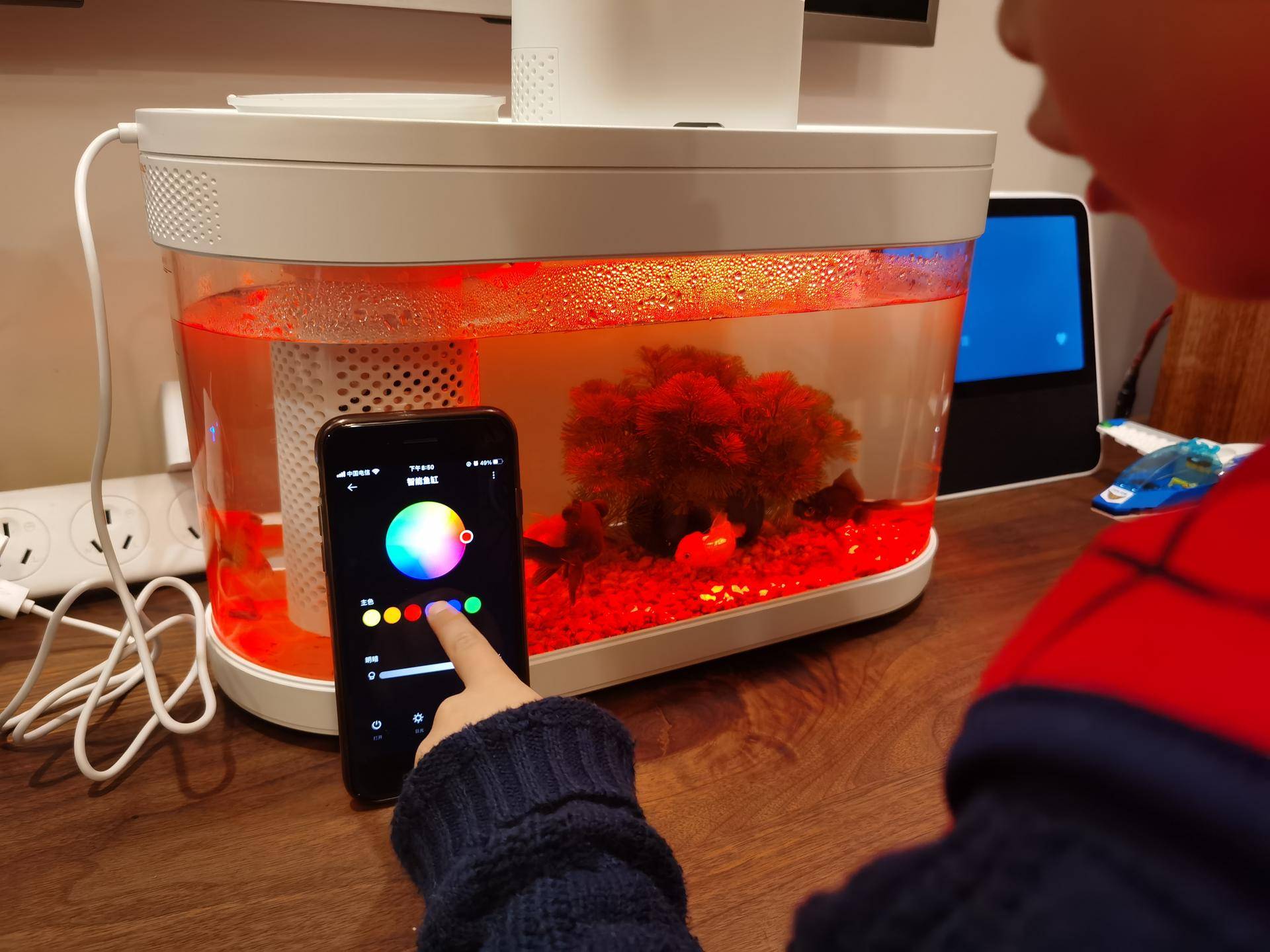 画法几何智能鱼缸开缸,画法几何最新智能模块化鱼缸评测