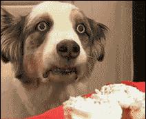 厨房即地狱，吃人不眨眼