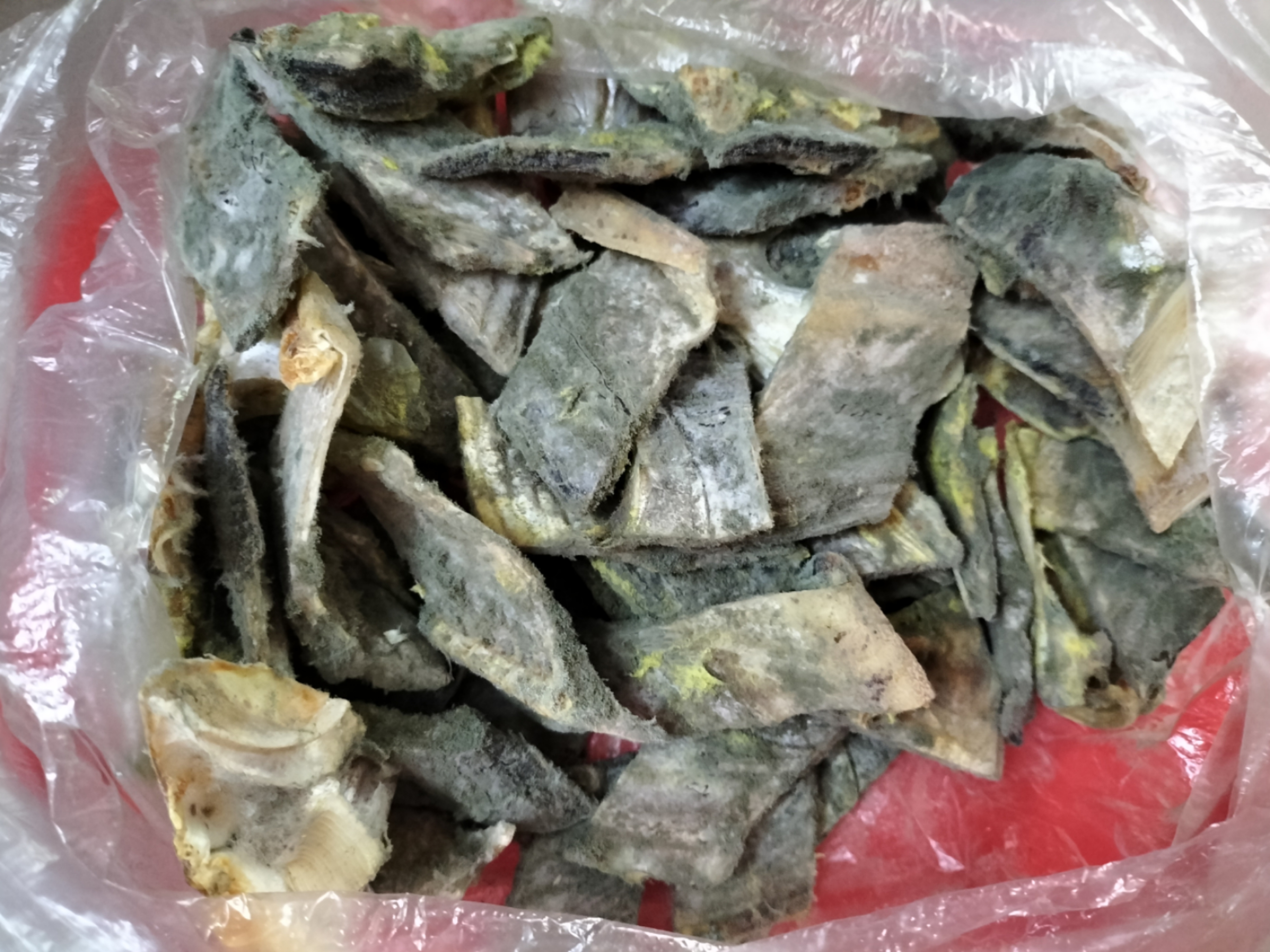 发霉土豆可以吃吗,晒干发霉的鱼干洗洗能给猫吃吗