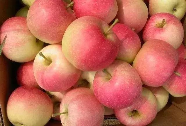 发酵苹果果酒的酿制方法,果酒酿制方法葡萄酒