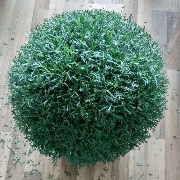 鐜涙牸涓界壒澶忓搴﹀,鐜涙牸涓界壒澶忓ぉ濡備綍搴﹀