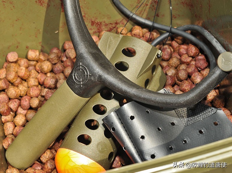 话说欧鲤钓之科学篇,欧鲤钓知识讲解