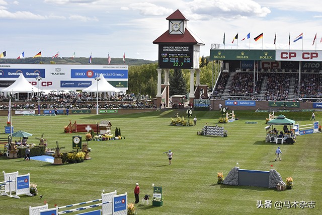 什么！听说几天后云杉草地将会上演一场冠军“厮杀”?