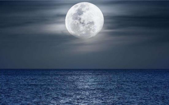 动漫最经典的告白语录,动漫告白名句